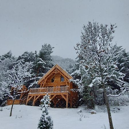 Chalet L'Empreinte Saint-Étienne-de-Tinée Екстериор снимка