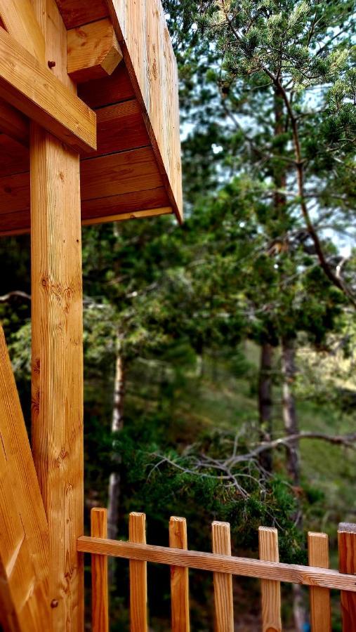 Chalet L'Empreinte Saint-Étienne-de-Tinée Екстериор снимка